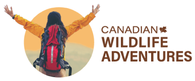 Canadian Wildlife Adventures - Aylmer Lake Lodge